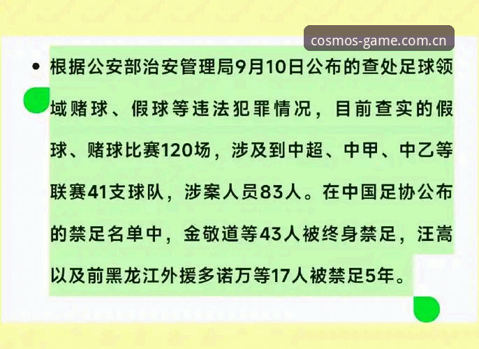 足协禁足名单深度解读：识别足球腐败的实用指南